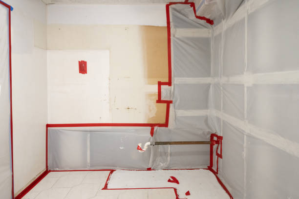 Best Forensic Mold Investigation  in Plumas Lake, CA