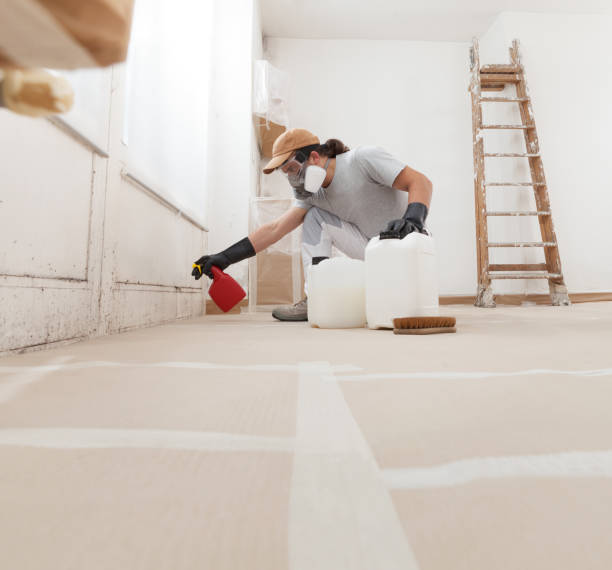 Best Crawl Space Mold Remediation  in Plumas Lake, CA