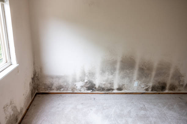 Best HVAC Mold Inspection and Cleaning  in Plumas Lake, CA