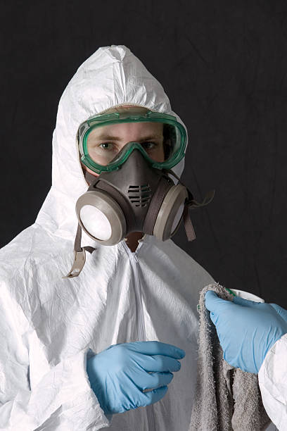 Best Basement Mold Removal  in Plumas Lake, CA